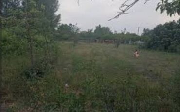 аренда квартир на длительный срок: 3 соток, Для бизнеса, Собственник, Купчая