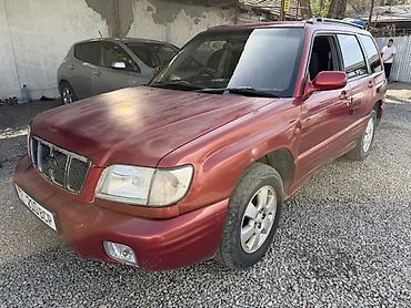 Subaru: Subaru Forester: 2001 г., 2 л, Автомат, Бензин, Универсал — 2