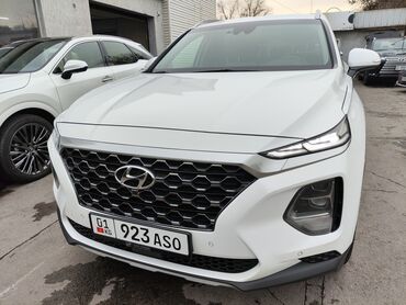 полики на 220: Hyundai Santa Fe: 2019 г., 2 л, Типтроник, Дизель, Кроссовер