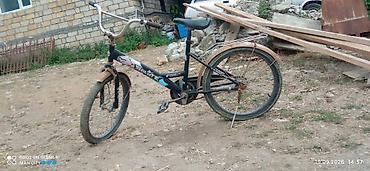 3 tekerli velosiped type 1: İşlənmiş İki təkərli Uşaq velosipedi 20", sürətlərin sayı: 1 — 1