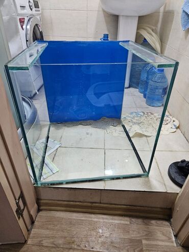 pişik ucun qum qabı: 58×58×58 195 litr 10 mm Şüşə akvarium - Material: qalın şüşə, şəffaf