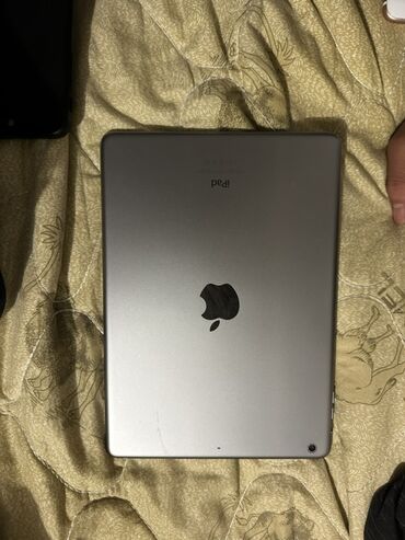 кампютор: Планшет, Apple, 9" - 10", Классикалык түсү - Боз