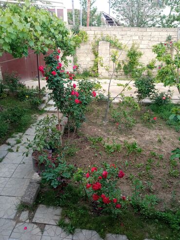 Otaqların uzunmüddətli kirayəsi: Satilir geniş və işıqlı otaq 2 otaq 1 zal metbex hamam ayaq yolu — 18