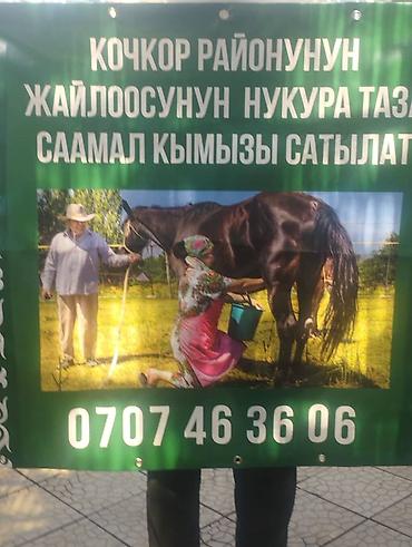 балык кумар: Кымыз (саамал) в бутылках - Натуральный кымыз свежего сбора из — 3