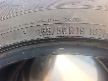 25550 r19 зима: Шины 255 / 50 / R 19, Зима, Б/у, Пара, Внедорожные (АТ/МТ), Япония, Toyo — 3