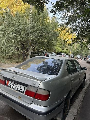дмрв ниссан: Nissan Primera: 2000 г., 2 л, Механика, Бензин, Седан — 2