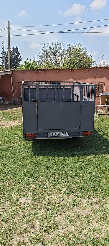 vaz on şuşə: GAZ Volga 3110, ağ rəngli sedan. Xüsusiyyətlər: - Korpus: 4 qapılı — 2