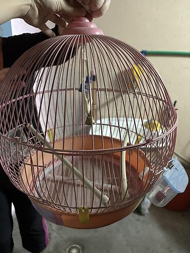 Okrugli kavez za ptice - Materijal: metalna žica sa plastičnim donjim