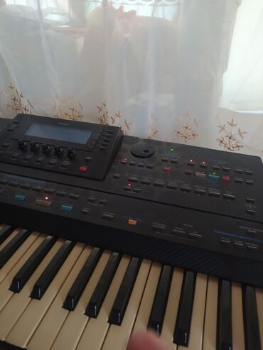 Səs avadanlığı: Sintezator, Korg, İşlənmiş