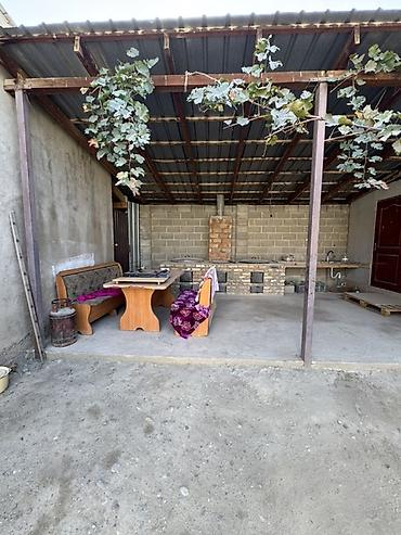 боконбаева калыка акиева: 2 комнаты, 60 м², 4 соток, Бишкек, Селекционное с. Риэлтор — 4