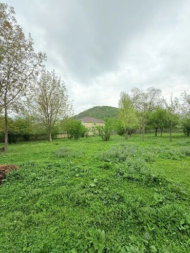 Torpaq sahələrinin satışı: 15 sot, Tikinti, Mülkiyyətçi, Kupça (Çıxarış) — 9