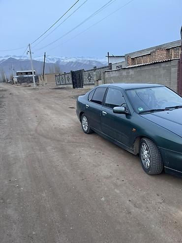 состояния отличное: Nissan Primera: 2000 г., 1.8 л, Механика, Бензин, Седан — 3