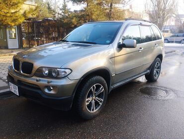 BMW: BMW X5: 2004 г., 3 л, Автомат, Бензин, Внедорожник