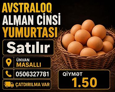 ciyələk ağacı satışı: Avstraloq Alman cinsi yumurtası • Qiymət: 1.50 • Ünvan: Masallı • — 1
