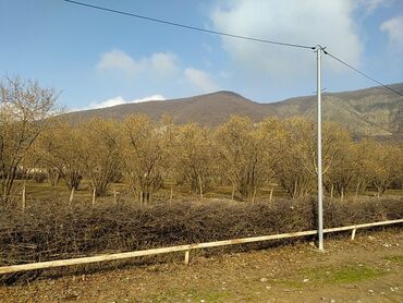 sulutepe torpaq: 40 sot, Tikinti, Mülkiyyətçi, Kupça (Çıxarış)