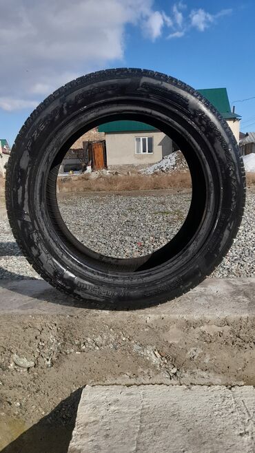 самое бортовой: Шины 225 / 50 / R 17, Лето, Б/у, 1 шт, Легковые, Pirelli