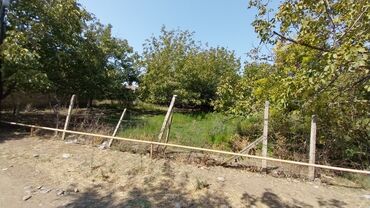 Torpaq sahələrinin satışı: 8 sot, Tikinti, Maklerlər narahat etməsin, Kupça (Çıxarış) — 3