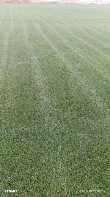 Torpaq sahələrinin satışı: Kənd təsərrüfatı, Mülkiyyətçi — 26