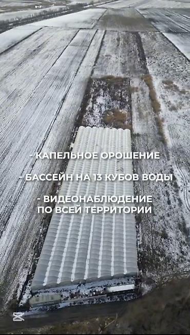 кантейнер 40 т: Күнөскана, 135 соток, Иштебеген, Жабдуулары менен — 6