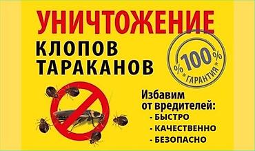талоны: Дезинфекция, дезинсекция, | Блохи, Вирусы, микробы, Клопы, | Офисы, Дома, Квартиры — 7