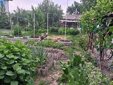mia home: Продается жилой дом по адресу: г. Кара-Балта, ул. Спортивная, 71. Цена — 4