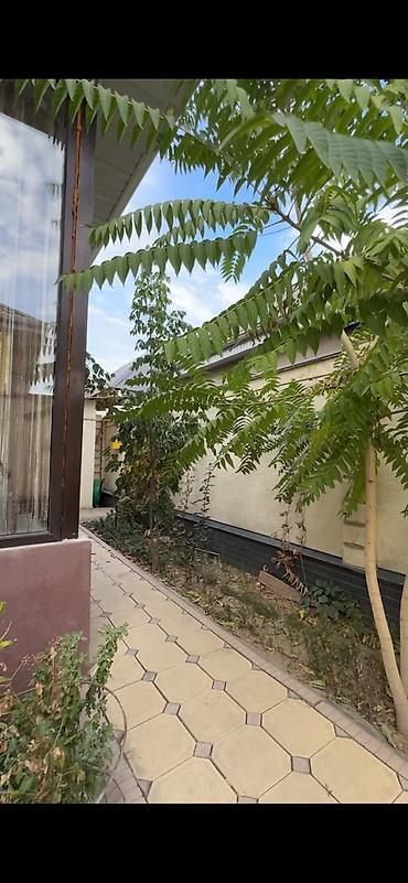 230: Конечно, исправляю: мастер-спальня без террасы, зал с террасой. 🏡 — 5
