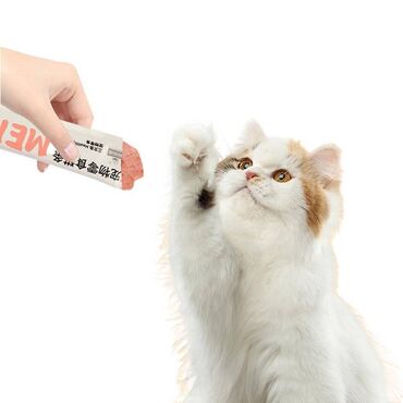 Зоотовары: Игрушки, вкусняшки, когтеточки на стену для наших любимцев Рыба из — 13