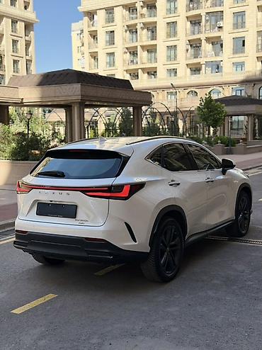 lexus: Lexus NX: 2023 г., 2.5 л, Автомат, Гибрид, Кроссовер — 7