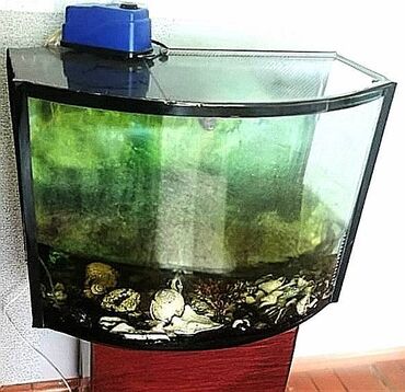 Akvariumlar: Akvarium, Boş, 120 l