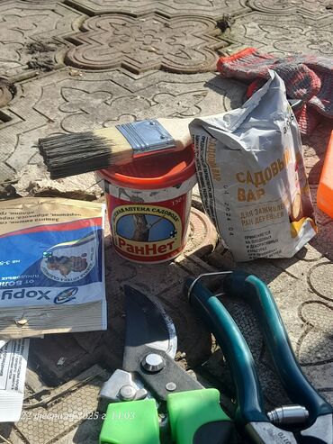 Спил деревьев, заготовка дров: Обрезка деревьев!!! Сезонная обрезка плодовых деревьев!!! Зима — 9