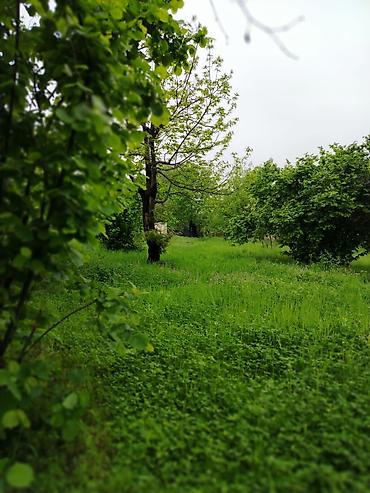 bag evi isi: Tikinti — 6