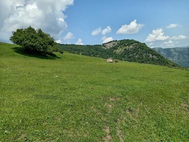 Torpaq sahələrinin satışı: 50 sot, Mülkiyyətçi, Kupça (Çıxarış) — 9