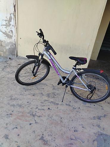 İdman velosipedləri: BAYARDT “Blue Cat” dağ velosipedi - Halqa ölçüsü: 26" - Çərçivə — 4