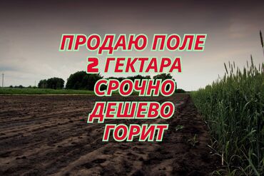 продаю участок радуга: 200 соток, Для сельского хозяйства, Договор купли-продажи