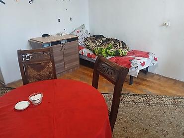 xalqlar dostluğu ev: 28 May metrosuna piyada 10 dəqiqəliq yoldur. Oğlan otaq yoldaşı — 2