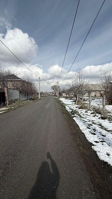 башкара: 5 соток, Красная книга — 3
