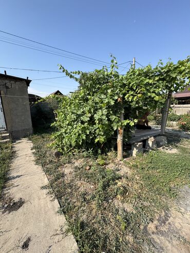 сельхоз земля: 2 соток, Кызыл китеп
