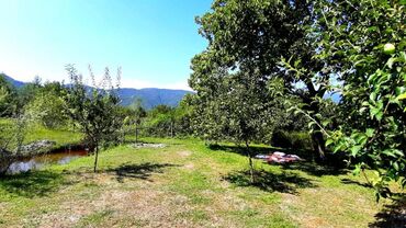 Bağ evlərinin satışı: Qəbələ, 170 kv. m, 6 otaqlı, Qaz, İşıq, Su — 13