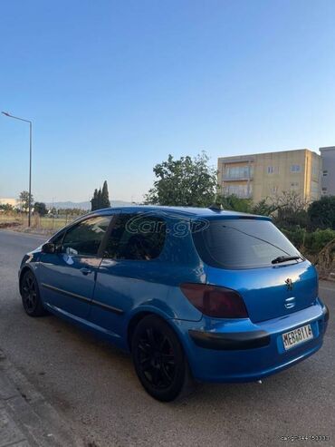 Peugeot: Peugeot 307: 1.6 l. | 2001 έ. 300000 km. Κουπέ — 13