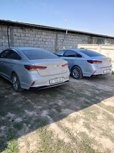 скутеры новые: Hyundai Sonata: 2019 г., 2 л, Автомат, Газ, Седан