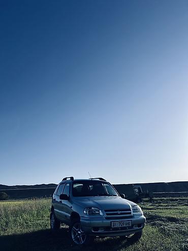 ка пят: Chevrolet Niva: 2008 г., 1.7 л, Механика, Бензин, Внедорожник — 8