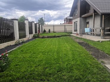 голландские семена в бишкеке: Посев газона, установка автополива под ключ 🔑 ведем работы любой