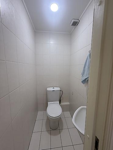 Продажа квартир: 3 комнаты, 116 м², Цум Индивидуалка, 12 этаж, Евроремонт — 9