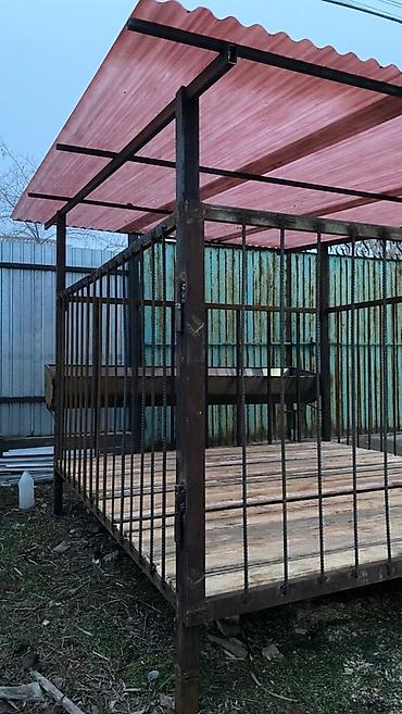 Товары и оборудование для с/х животных: Койкана койго жана козуга ылайыкташкан краскасын кылып берем 8 баш — 5