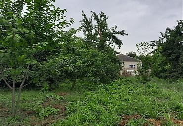 kiraye evler 150 200 manat: 10 соток, Для сельского хозяйства, Собственник, Купчая — 3