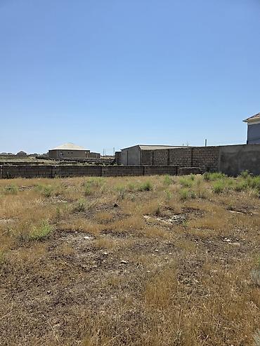 Torpaq: 4 sot, Kupça (Çıxarış) — 5