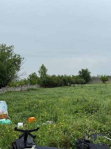 участок кунту: 20 соток, Для строительства, Красная книга — 1