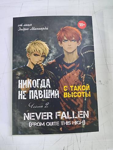 новел: Комикс/манга «Никогда не павший. С такой высоты» (Never Fallen: From — 4