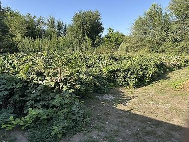 клубный дом: 🏡 ПРОДАЁТСЯ ДОМ В НИЖНЕЙ СЕРАФИМОВКЕ Продаётся дом на большом участке — 10