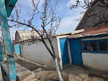 Продажа дач: Дача с участком и постройками - Кирпичный дом с остеклённой верандой — 4